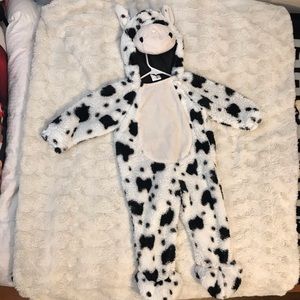 Adorable cow costume!